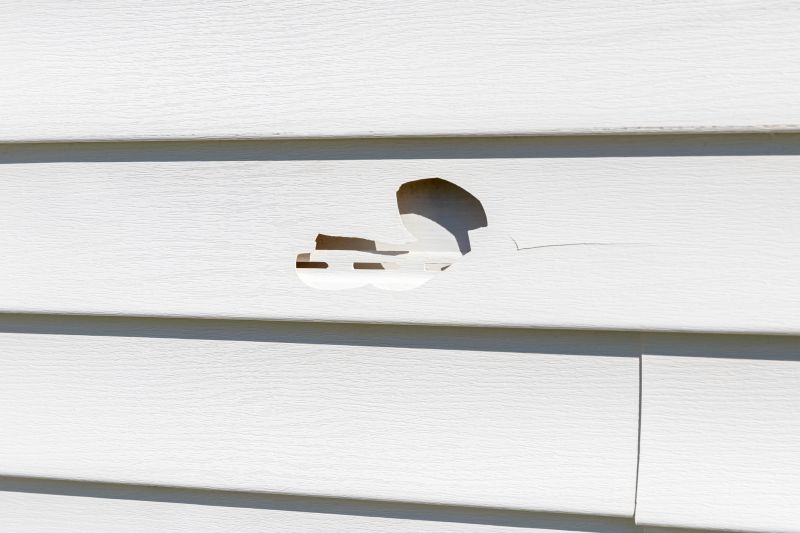 Siding Repair Work